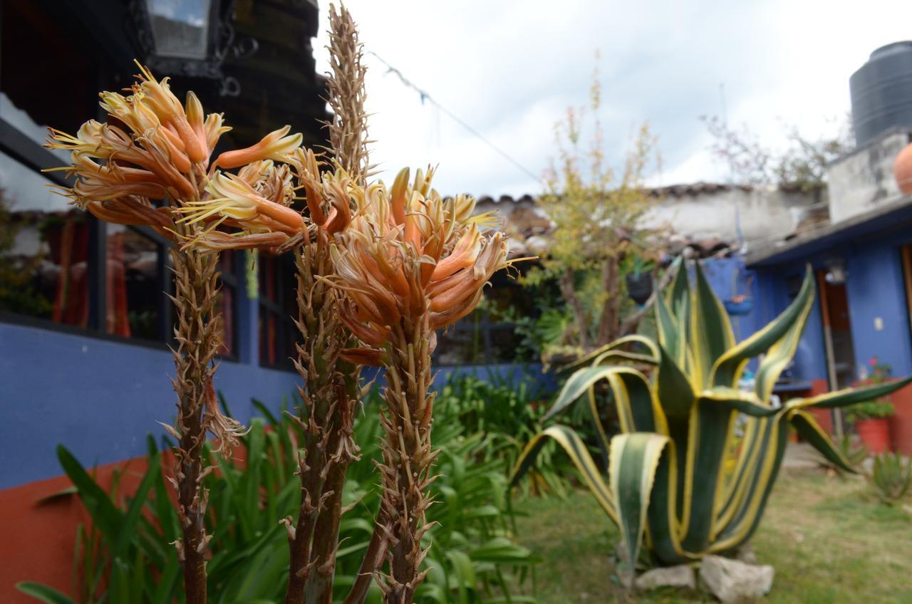 Hostal El Rincon De Los Camellos San Cristóbal de Las Casas Екстериор снимка