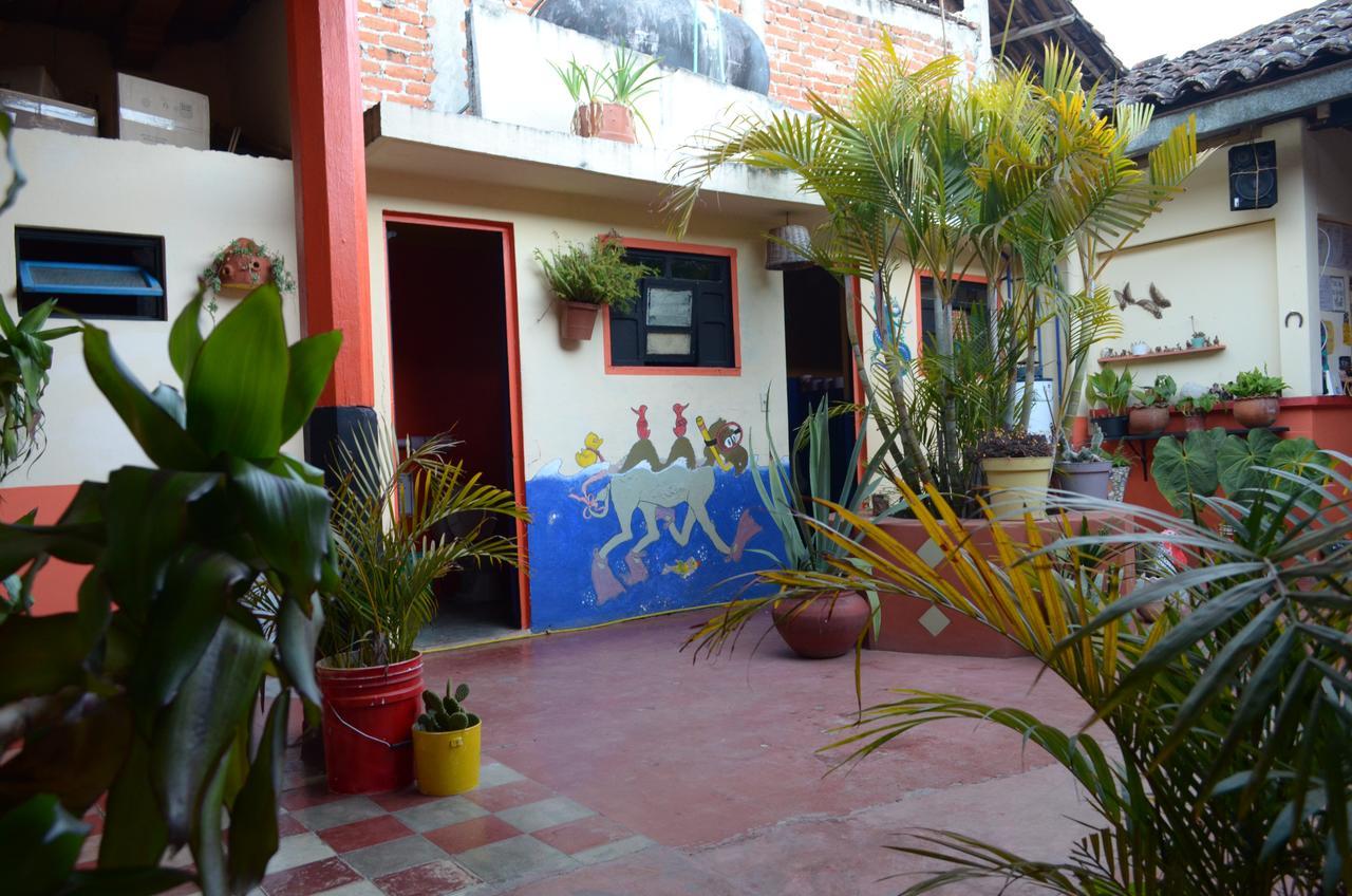 Hostal El Rincon De Los Camellos San Cristóbal de Las Casas Екстериор снимка