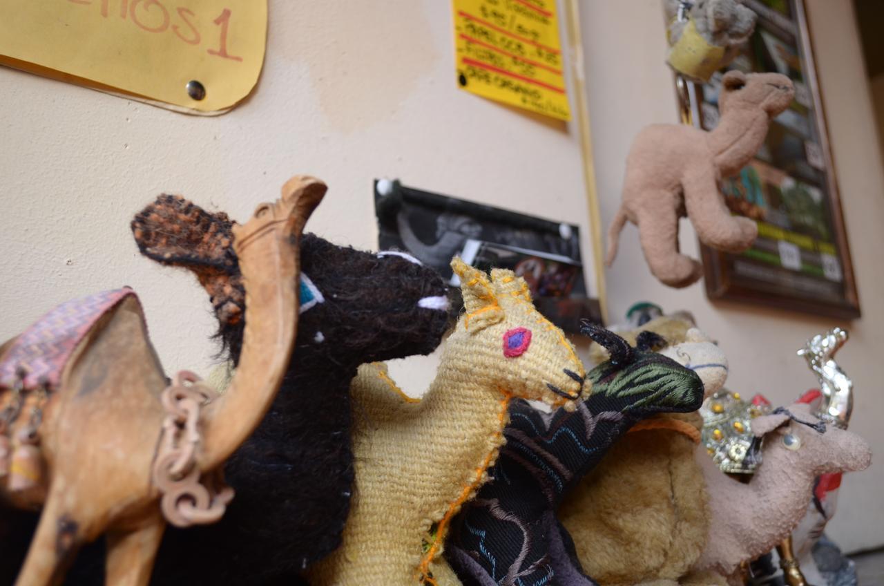 Hostal El Rincon De Los Camellos San Cristóbal de Las Casas Екстериор снимка