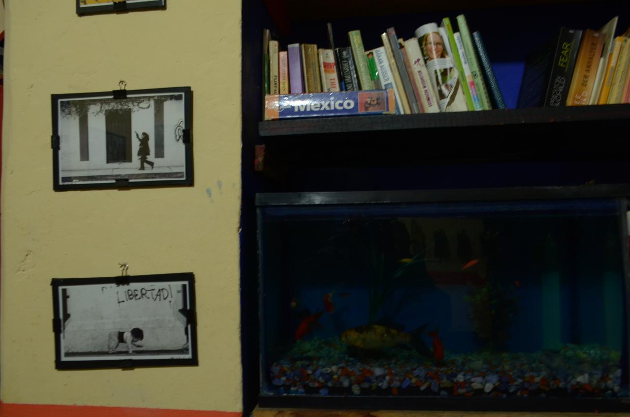 Hostal El Rincon De Los Camellos San Cristóbal de Las Casas Екстериор снимка