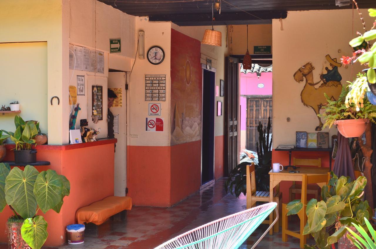 Hostal El Rincon De Los Camellos San Cristóbal de Las Casas Екстериор снимка