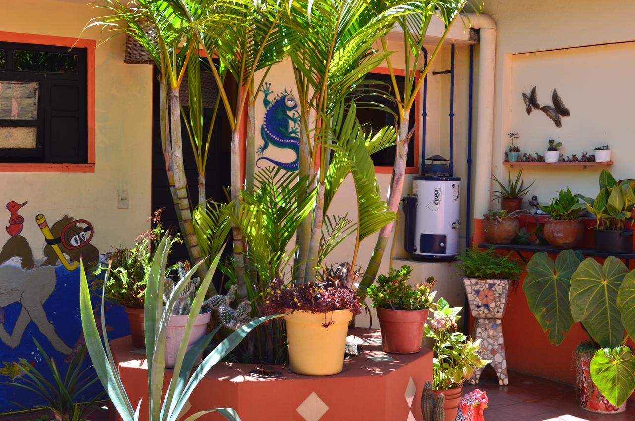 Hostal El Rincon De Los Camellos San Cristóbal de Las Casas Екстериор снимка